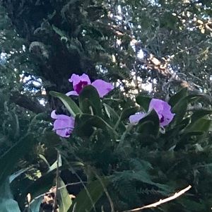 Meet your Posher, Maria isabel